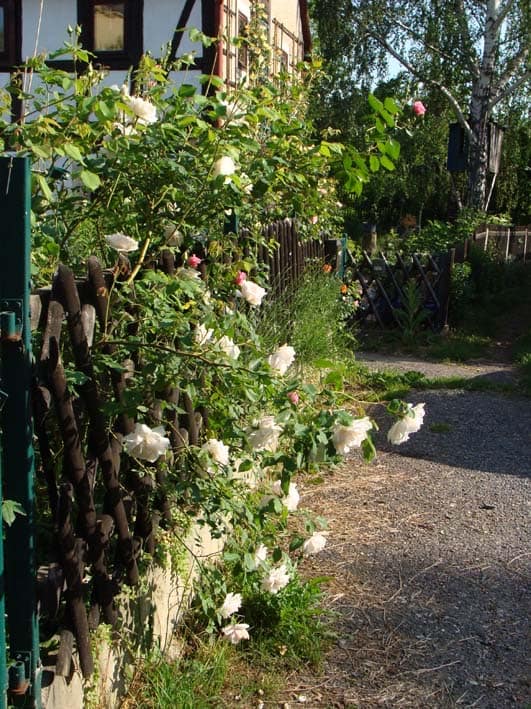 Kunsttherapieatelier Wildrosengarten